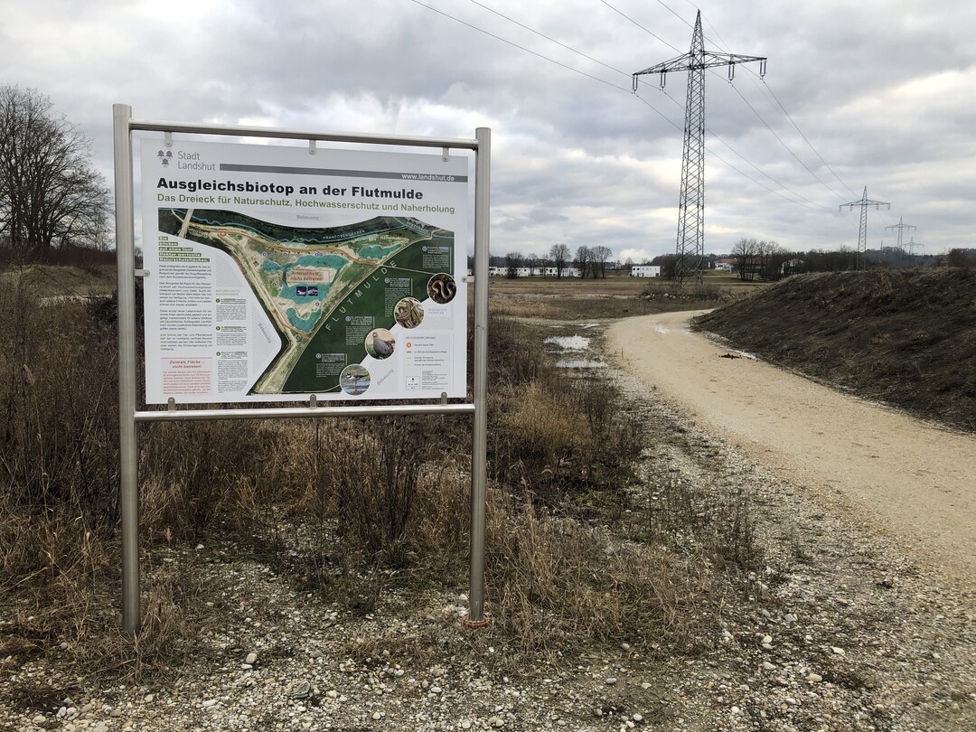 Auch im Zuge von Ausgleichsmanahmen lassen sich Wasserrckhaltung und Biodiversitt verbinden.
