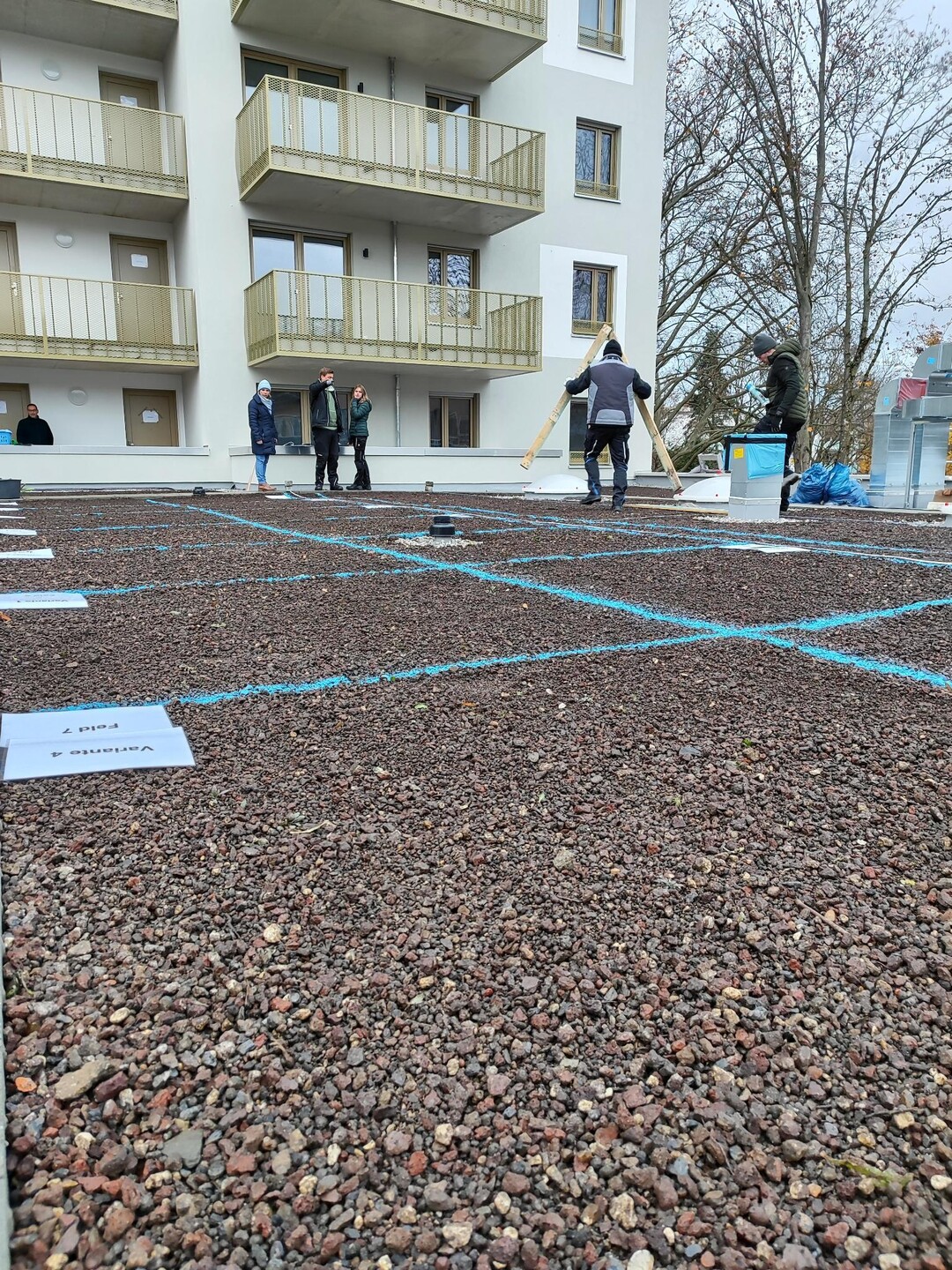 Nachdem die Basis fr die extensive Dachbegrnung geschaffen wurde, sollen in den nchsten Tagen Sedum-Sprossen auf der Flche ausgest werden