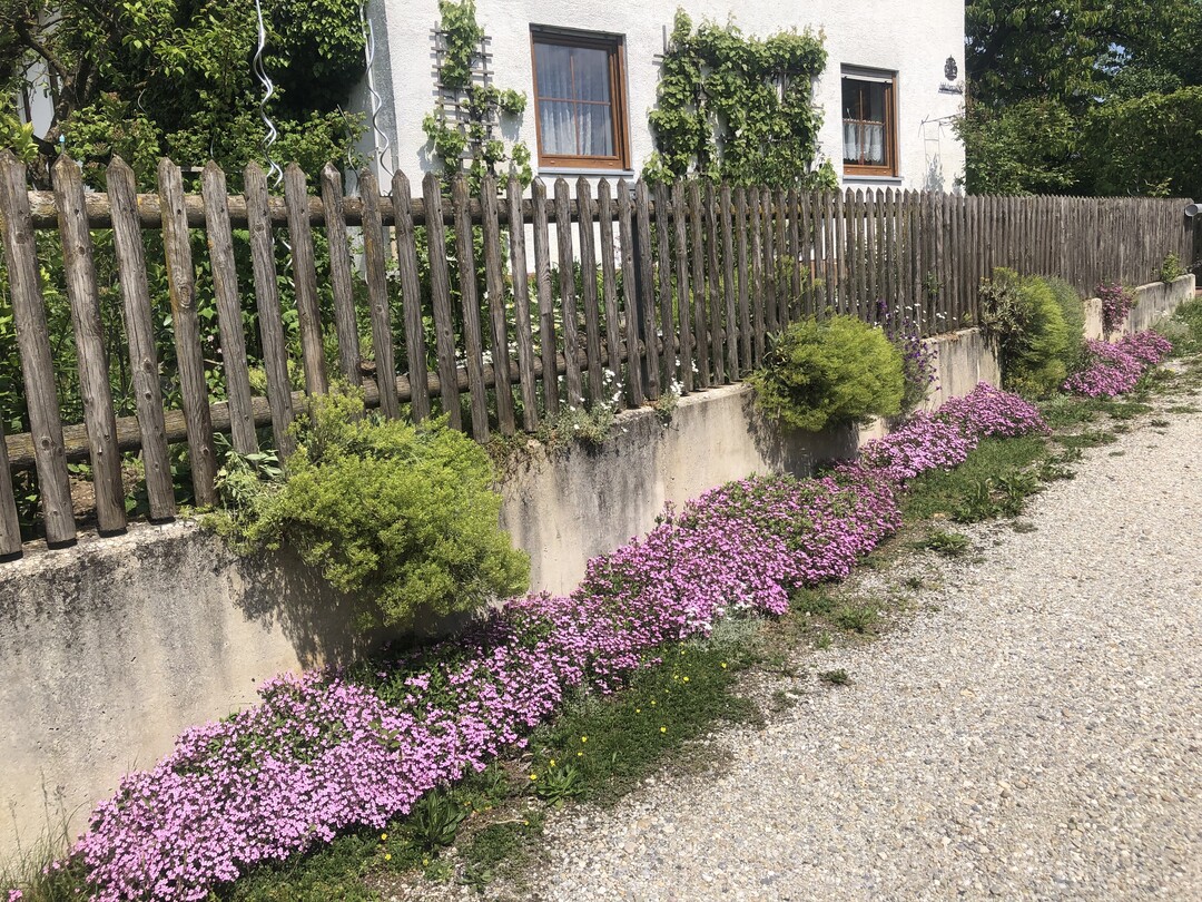 Ein extensiver Belag und ein Krutersaum tragen in diesem Fall erheblich zur Integration ins lndliche Ortsbild bei. Die Wegeflche wirkt weniger dominant und nimmt zudem Regenwasser auf.