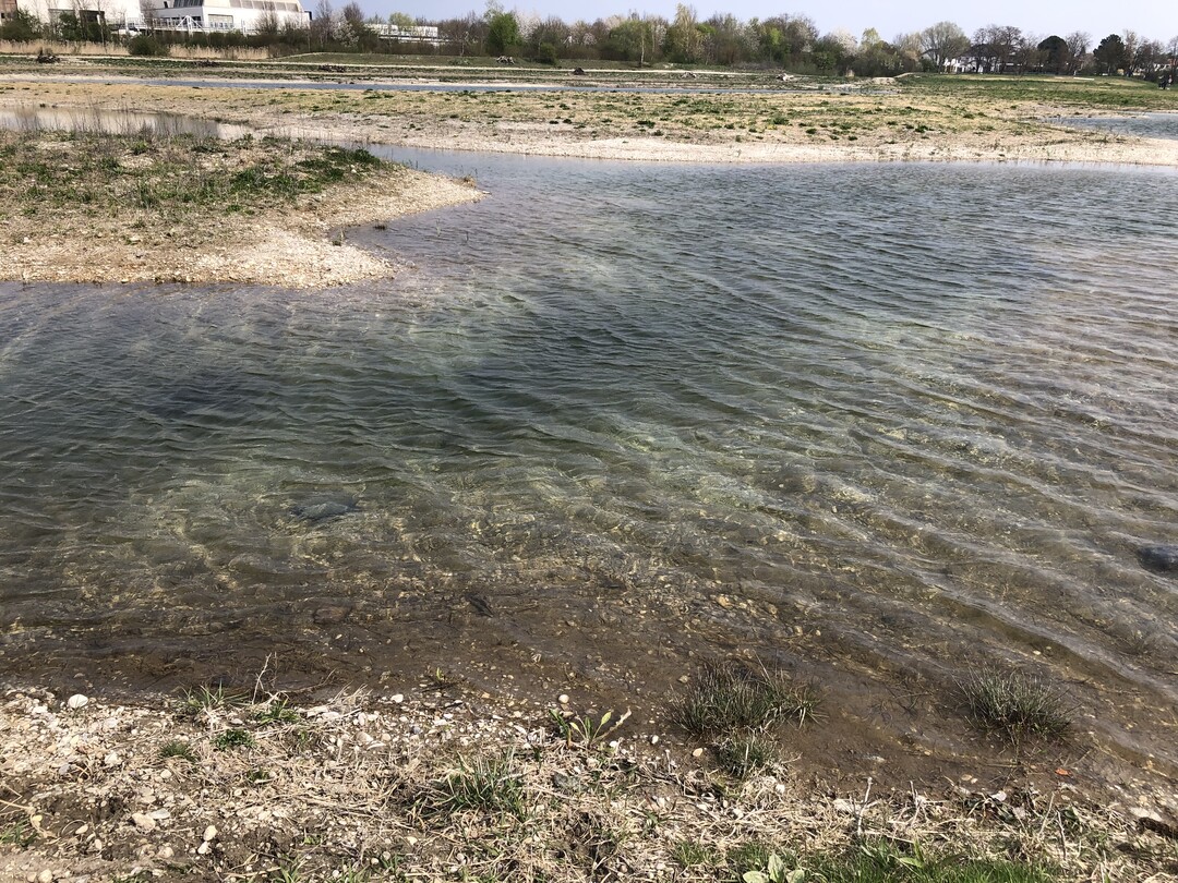 So entstehen wertvolle Biotope, die zufleich temporr viel Wasser aufnehmen knnen.