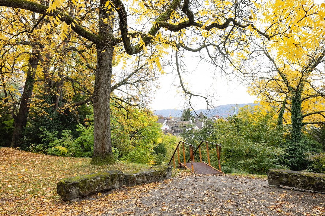 Silberner Hase 2023: Gartensequenz Hochschulgebiet Zrich Zentrum. Was vorher getrennt war, ist nun verbunden, z.B. durch Treppen aus Cortenstahl. 