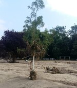 In Bad Neuenahr-Ahrweiler wird es 2023 keine Landesgartenschau geben!