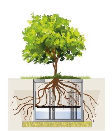 Die neue Baumrigole ViaTree von Mall bietet Stadtbumen ideale Bedingungen fr ausreichende Wasserversorgung und Wachstum.
