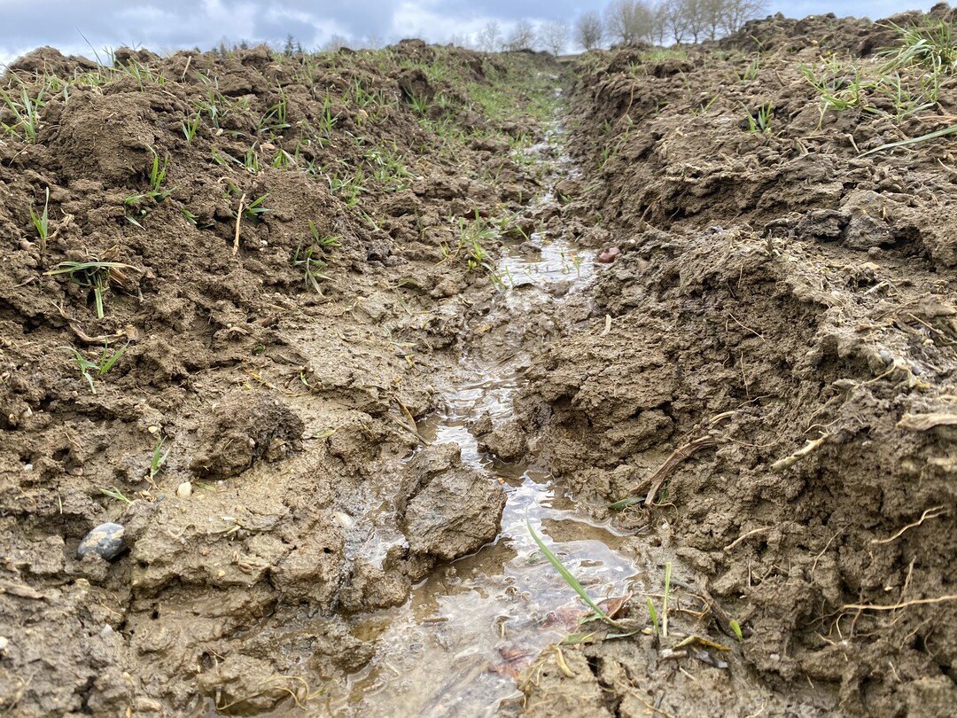 Quellen sollten besonderem Schutz unterliegen und nicht berackert werden. Grozgige Quellbereiche speichern Wasser und vewrhindern schnellen Ablauf.
