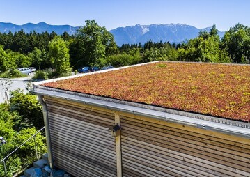 Das niederlndische Unternehmen Mobilane entwickelt und liefert nachhaltige und innovative Begrnungssysteme wie gebrauchsfertige Hecken, Grndcher, Begrnungssysteme fr de In- und Outdoor-Bereich. 