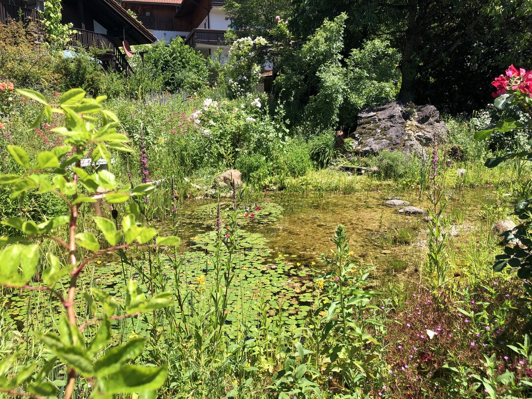 Auch das ist ein Garten. So gro, wie der Garten auf dem ersten Bild. Doch wieviel mehr Lebensqualitt bietet dieses Grundstck, in dem Wasser den Ton angibt und viele Tiere wohnen. Wie schn ist es fr Kinder, hier gro zu werden.