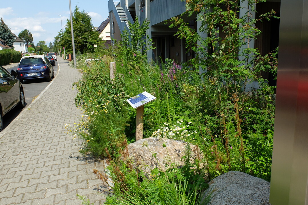 Prmierter Vorgarten in der Ewaldstrae