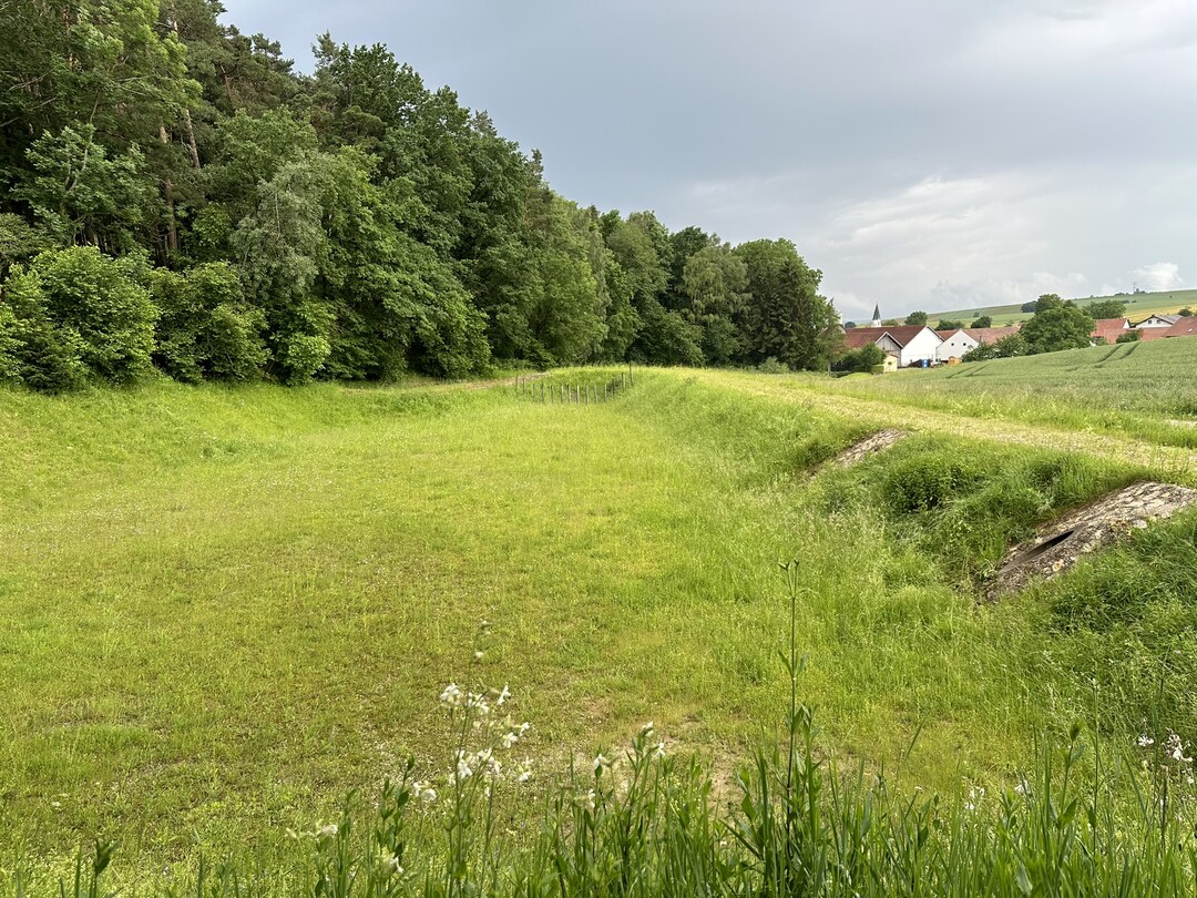 Solche Rckhaltebecken sichern nicht nur den Siedlungsbereich, sondern leisten zugleich einen wertvollen Beitrag zur Biodiversitt.<br>