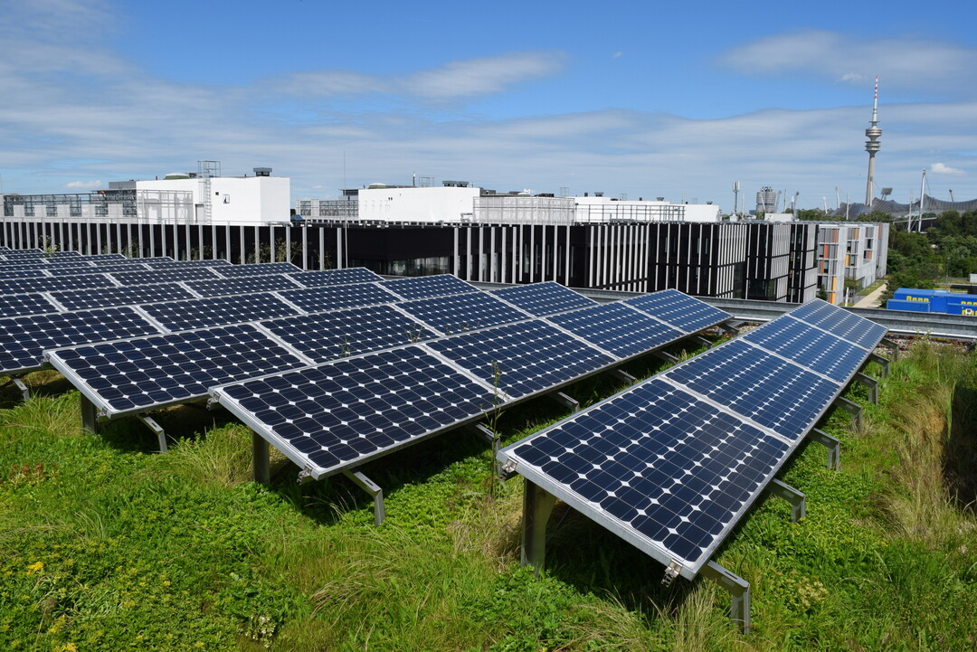 Die Kombination von Gründach und PV-Anlage schafft eine Win-Win-Win-Situation für Energiewende und Klimawandelanpassung in Siedlungsräumen. Eine Weiterbildung befähigt zur gelungenen Zusammenarbeit der verschiedenen beteiligten Gewerke.