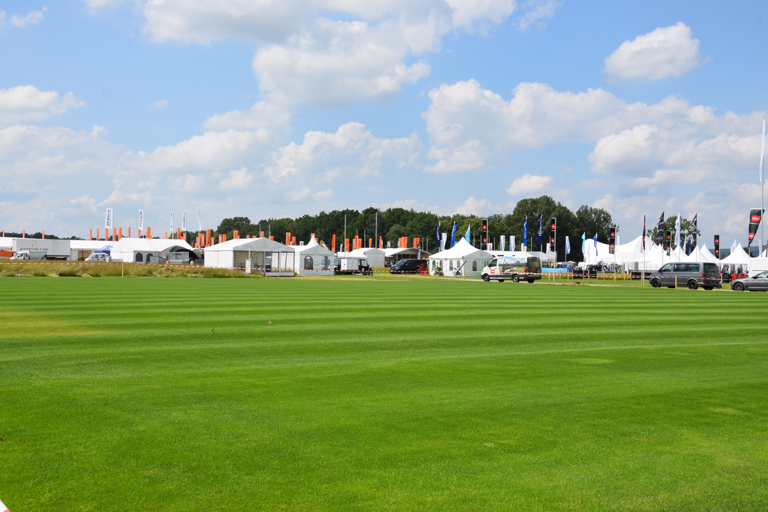 Rasenflche bei der Sortenschau auf der demopark 2019