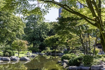Die Stadt der Zukunft bentigt dringend klimaresiliente Gehlze aus der gesamten Sortimentsbreite.