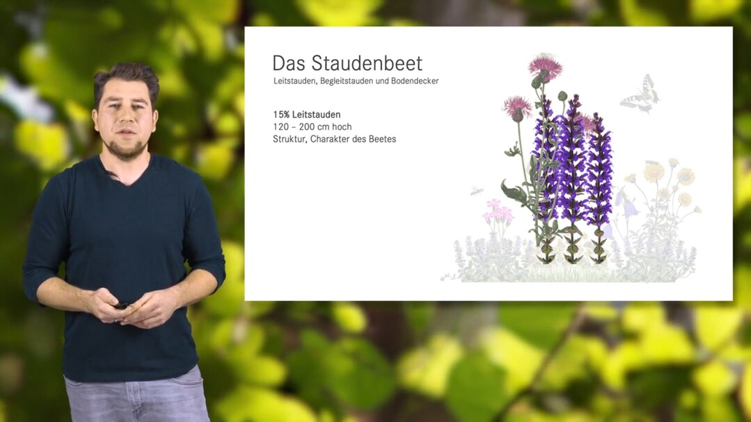 Impression von der Online-Schulung