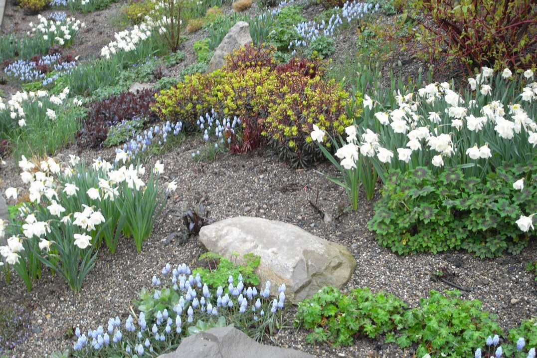 Mit Staudenmix können Sie den eigenen Garten oder die Terrasse in kürzester Zeit in ein mehrjähriges, blühendes Staudenparadies verwandeln