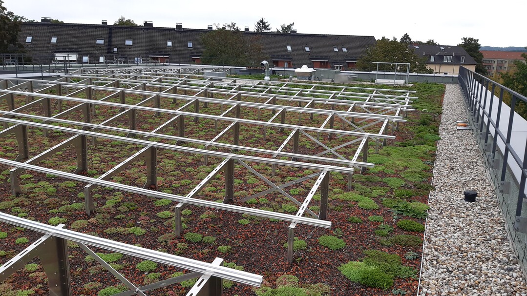Whrend der Bauphase: Hier fehlen noch die Solarmodule, dafr wachsen die Sedumsprossen schon krftig an.