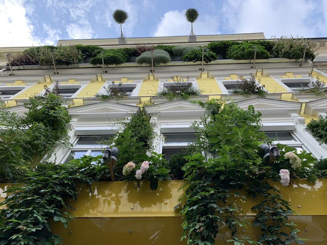 Fassadenbegrünung in der Hannovergasse in Wien von 90deGREEN.